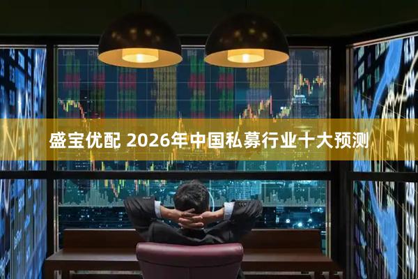 盛宝优配 2026年中国私募行业十大预测