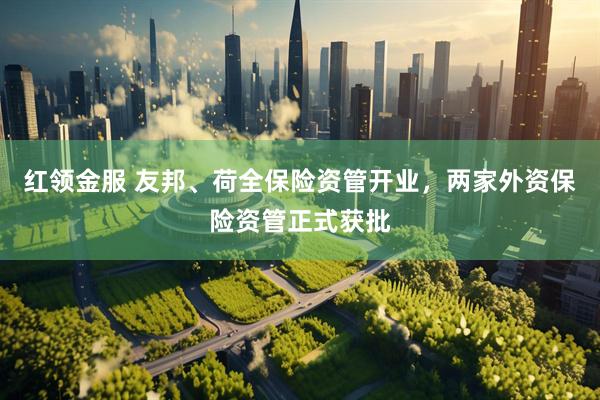 红领金服 友邦、荷全保险资管开业，两家外资保险资管正式获批