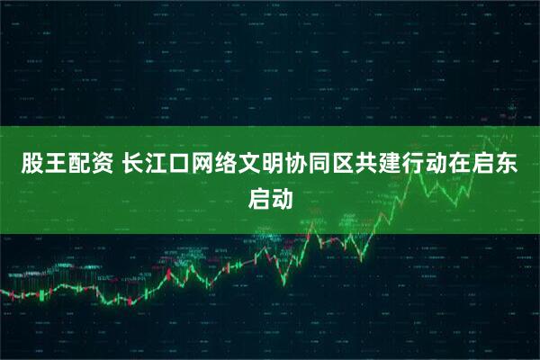 股王配资 长江口网络文明协同区共建行动在启东启动